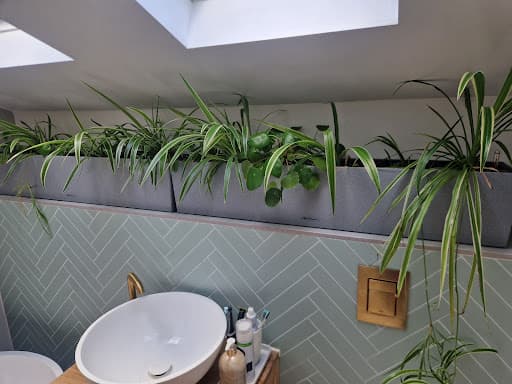 Cipriani Plumbing and Services Ltd — Customer photo