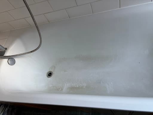 Mendabath Hampshire — Customer photo